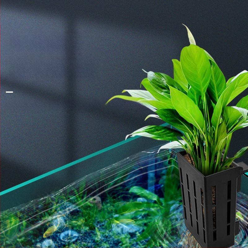 Κρεμαστό στον τοίχο γλάστρα για υδροπονική φύτευση σε ενυδρείο – διακοσμητική καλαθούλα για υδρόβια φυτά