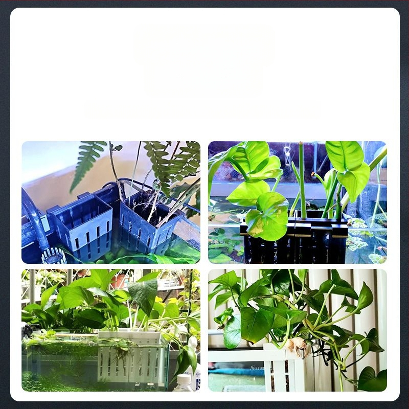 Κρεμαστό στον τοίχο γλάστρα για υδροπονική φύτευση σε ενυδρείο – διακοσμητική καλαθούλα για υδρόβια φυτά