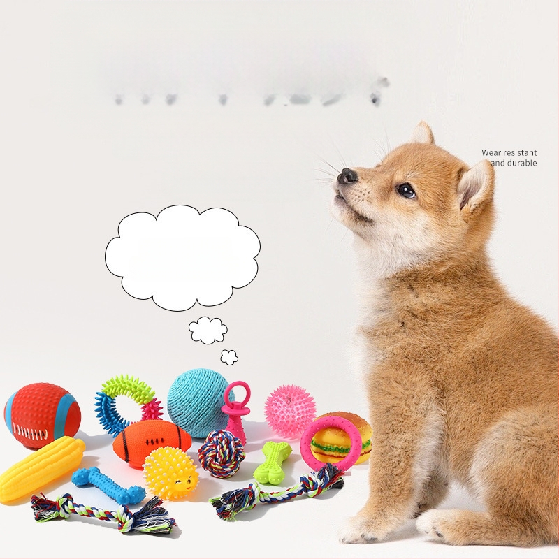 Дъвкалка за кучета – издръжлива играчка от телешка кожа за кученца и малки породи, топка и пръчка за дъвчене.