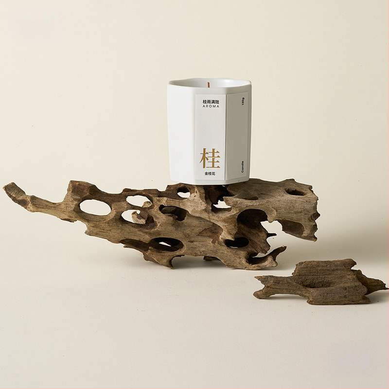 Porėtas driftwood nuotraukoms – Still Life fonas su šakelėmis, dekoracinis rekvizitas