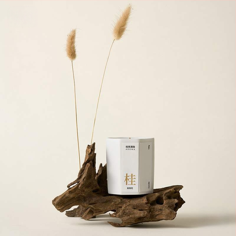 Porėtas driftwood nuotraukoms – Still Life fonas su šakelėmis, dekoracinis rekvizitas