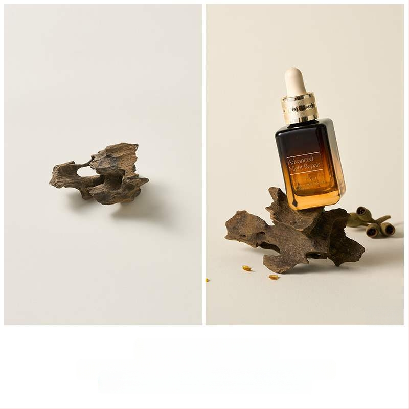 Porėtas driftwood nuotraukoms – Still Life fonas su šakelėmis, dekoracinis rekvizitas