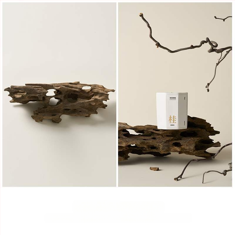 Porėtas driftwood nuotraukoms – Still Life fonas su šakelėmis, dekoracinis rekvizitas