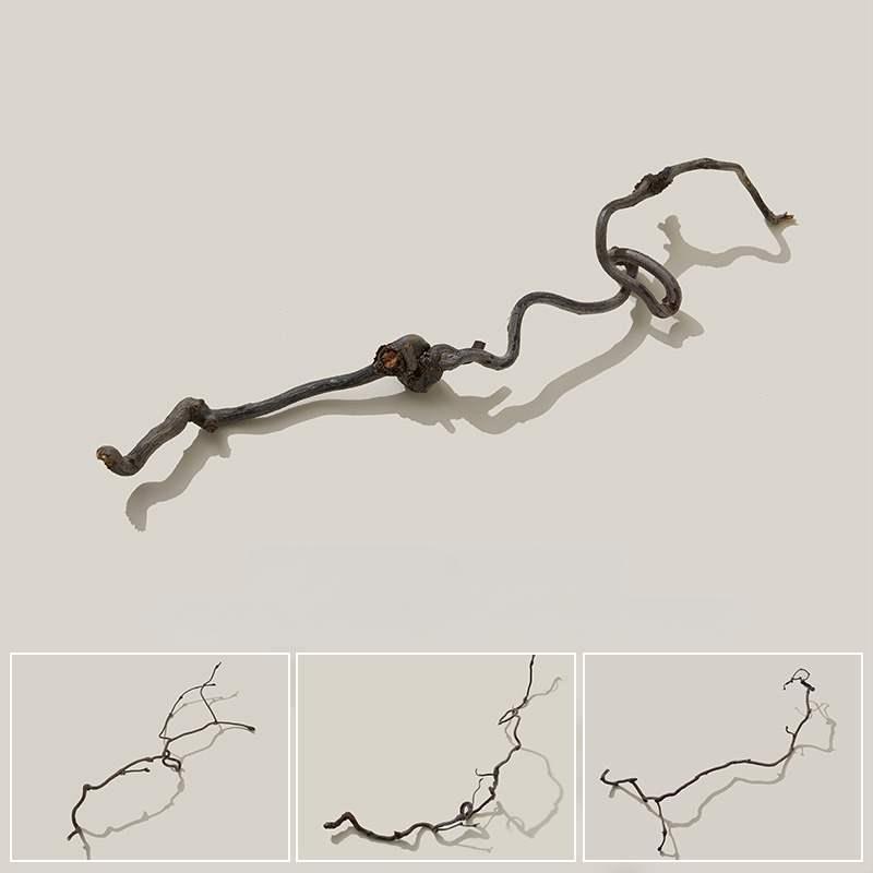 Porėtas driftwood nuotraukoms – Still Life fonas su šakelėmis, dekoracinis rekvizitas