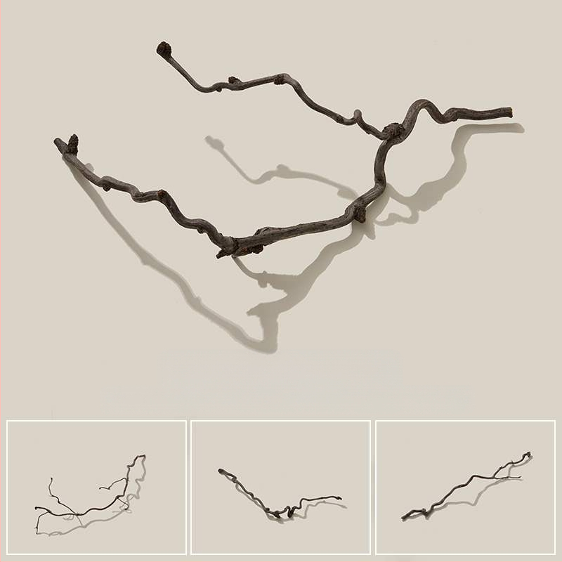 Porėtas driftwood nuotraukoms – Still Life fonas su šakelėmis, dekoracinis rekvizitas