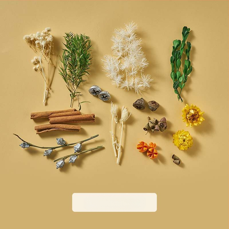 Porėtas driftwood nuotraukoms – Still Life fonas su šakelėmis, dekoracinis rekvizitas