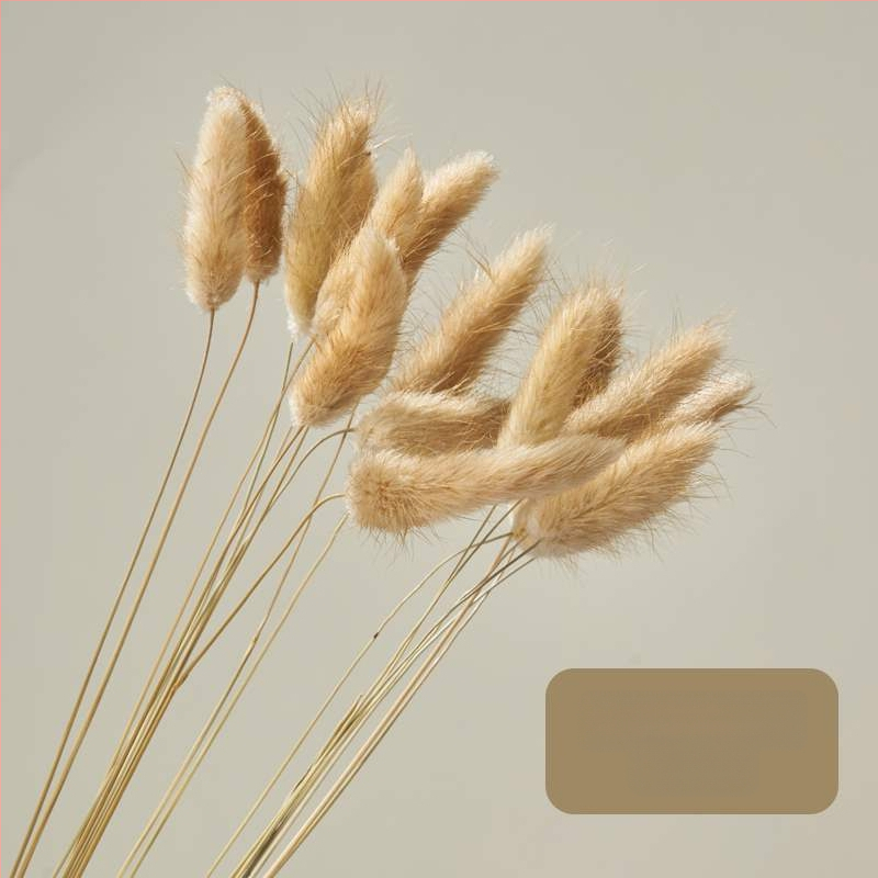 Porėtas driftwood nuotraukoms – Still Life fonas su šakelėmis, dekoracinis rekvizitas