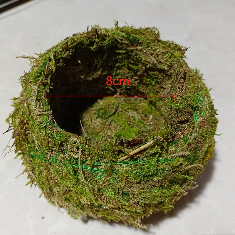 Sammalsambliku pott orhidejade mini-maastikuga, põrandal seisev alus, maaeluline stiil koduaiaai ai