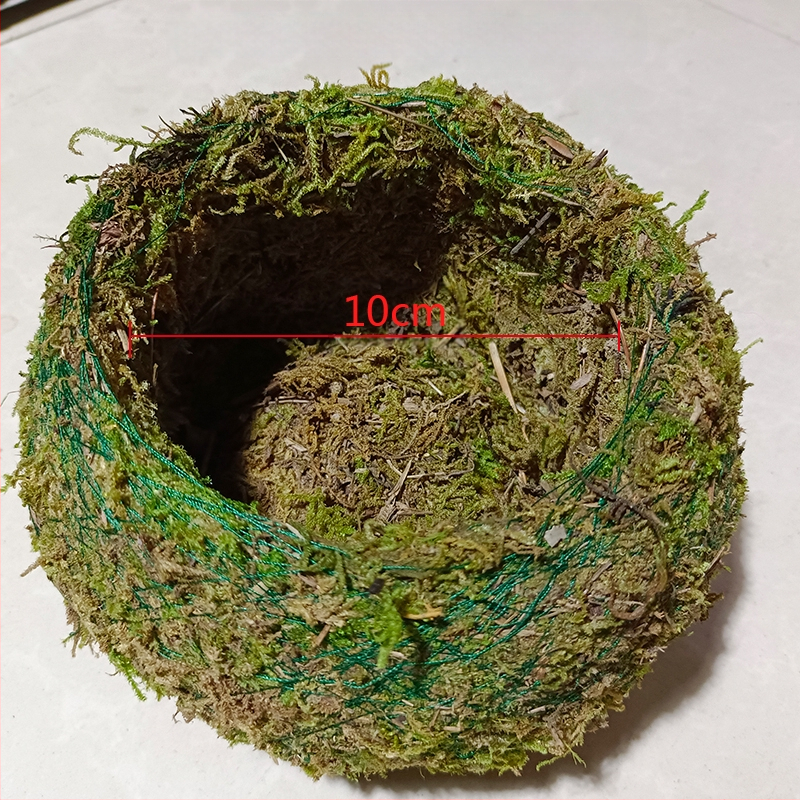 Sammalsambliku pott orhidejade mini-maastikuga, põrandal seisev alus, maaeluline stiil koduaiaai ai