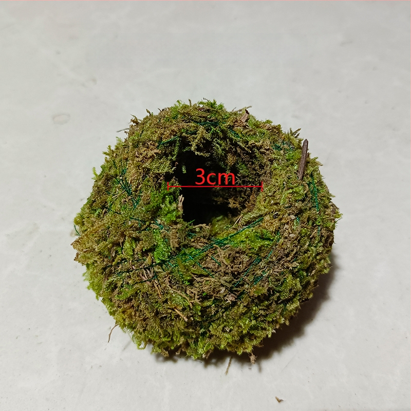 Sammalsambliku pott orhidejade mini-maastikuga, põrandal seisev alus, maaeluline stiil koduaiaai ai