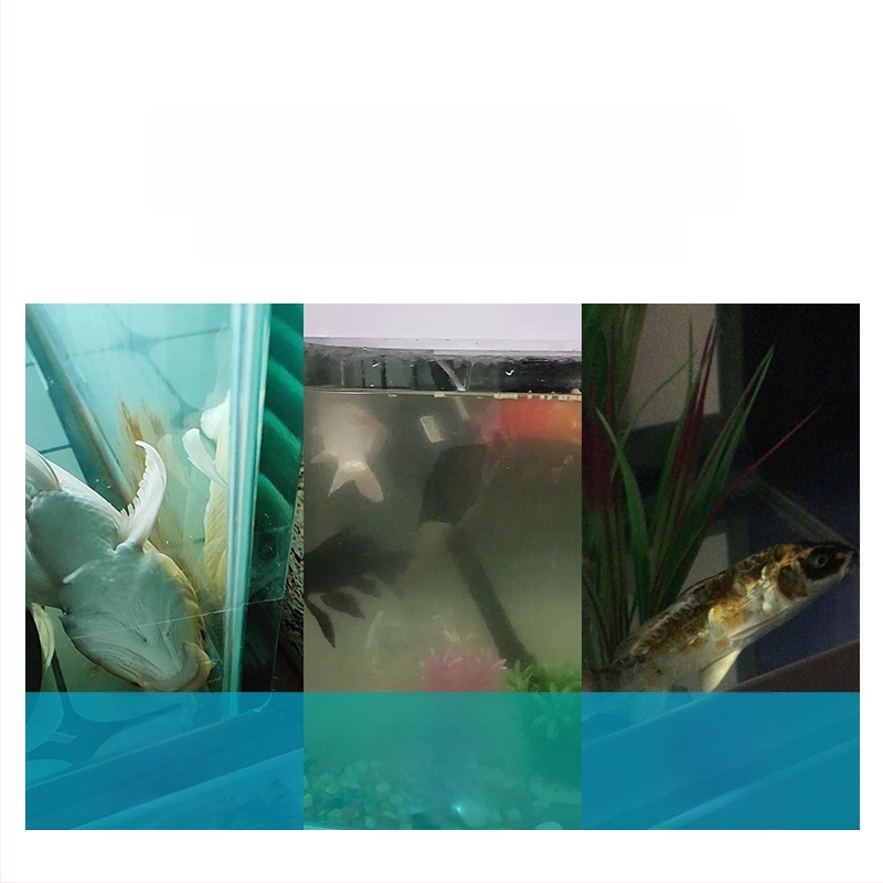 Garix Mini akvārija filtrs — iebūvēts kluss filtrēšanas kameras un skābekļa sūknis, trīs vienā; plastmasas korpuss, 0,16 kg