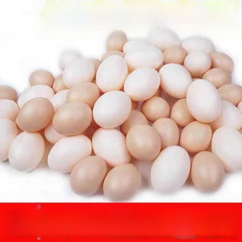 Plastmasas olas spēlei un mācībām, krāsotas dekoratīvās olas bērniem, dārziņa mācību palīglīdzekļi (materiāls: plastmasa; vecuma grupa: 15–35 gadi; tips: cits)