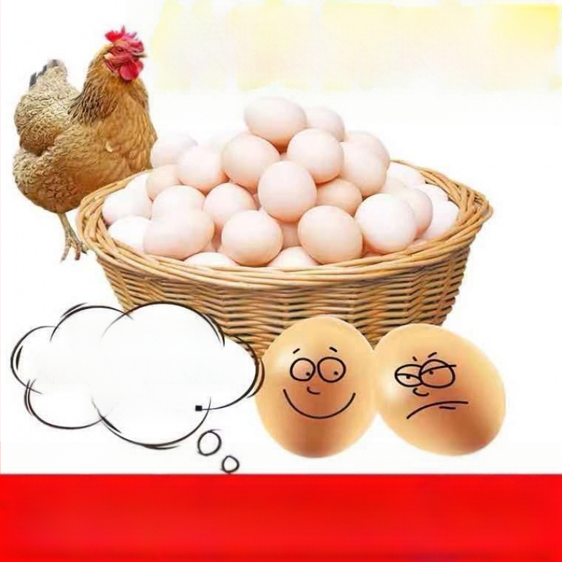 Plastikiniai kiaušiniai žaidimams ir mokymams, dažyti dekoratyviniai kiaušiniai vaikams, ikimokykliniai mokymo reikmenys (medžiaga: plastikas; amžius: 15–35 metai; tipas: kitas)