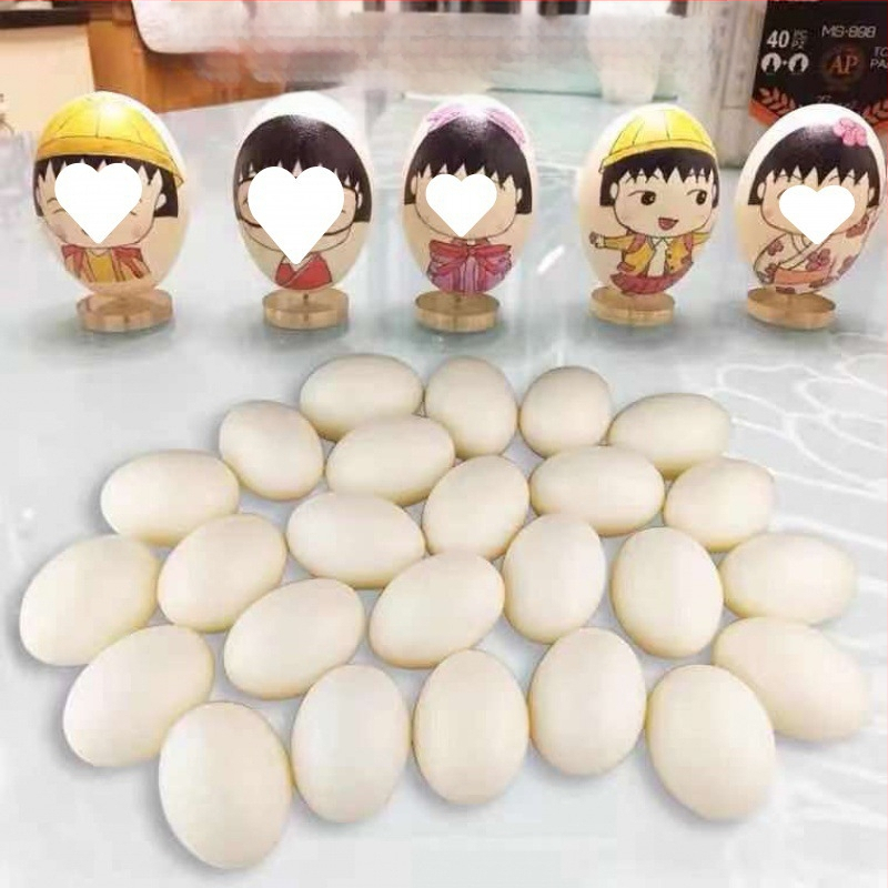 Plastikiniai kiaušiniai žaidimams ir mokymams, dažyti dekoratyviniai kiaušiniai vaikams, ikimokykliniai mokymo reikmenys (medžiaga: plastikas; amžius: 15–35 metai; tipas: kitas)