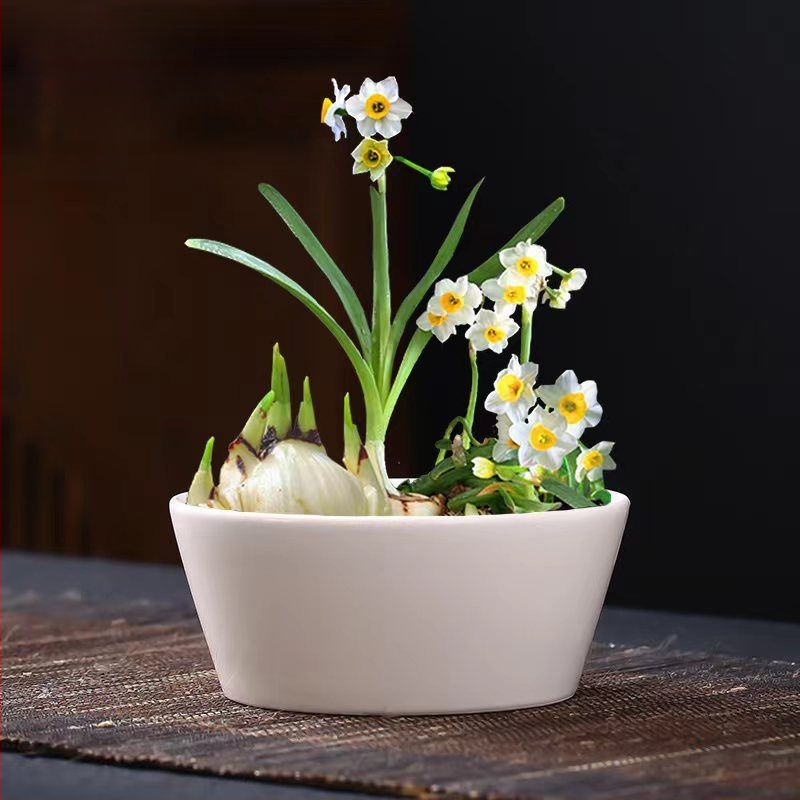 Keraminė gėlių vaza ant grindų – paprastas stilius, namų sodo naudojimui