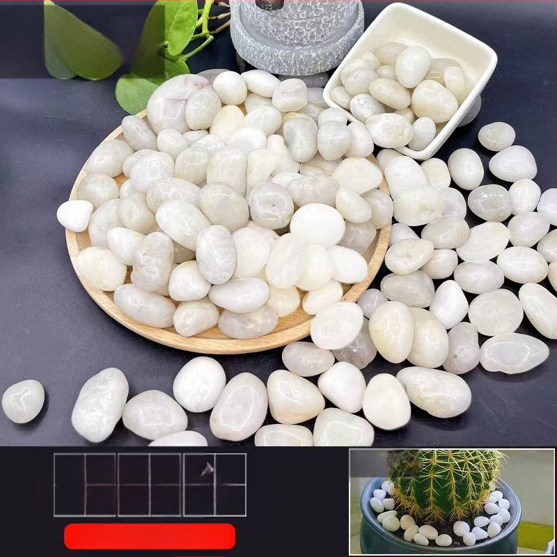 Rain Flower akmenėliai dārzo grindims ir akvariumo kraštovaizdžiui; įskaitant natūralius mažus akmenėlius; Medžiaga: akmenėliai; Tipas: Kitas; Tinka sodo dekoracijoms ir akvariumo kraštovaizdžiams