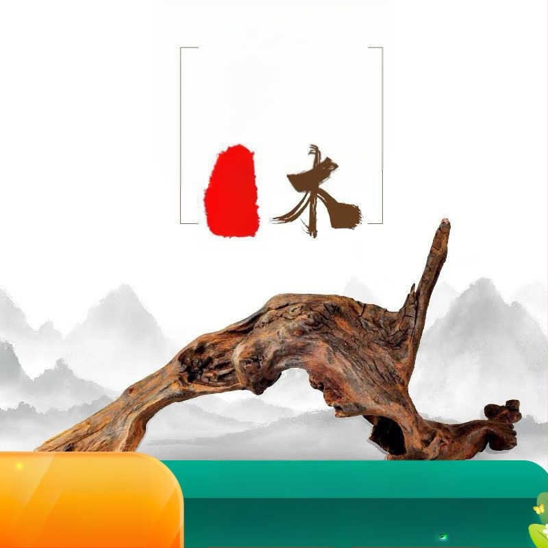 Rāpju dzīvnieku terārijs ar sauļošanās platformu, driftwood un dekoratīvajām zariem