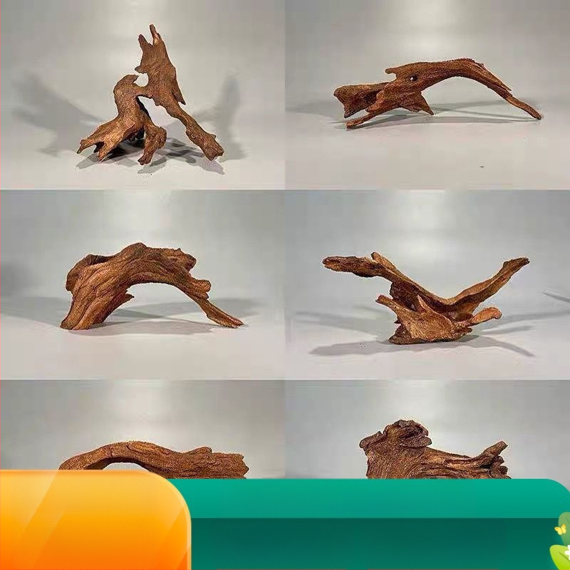 Rāpju dzīvnieku terārijs ar sauļošanās platformu, driftwood un dekoratīvajām zariem