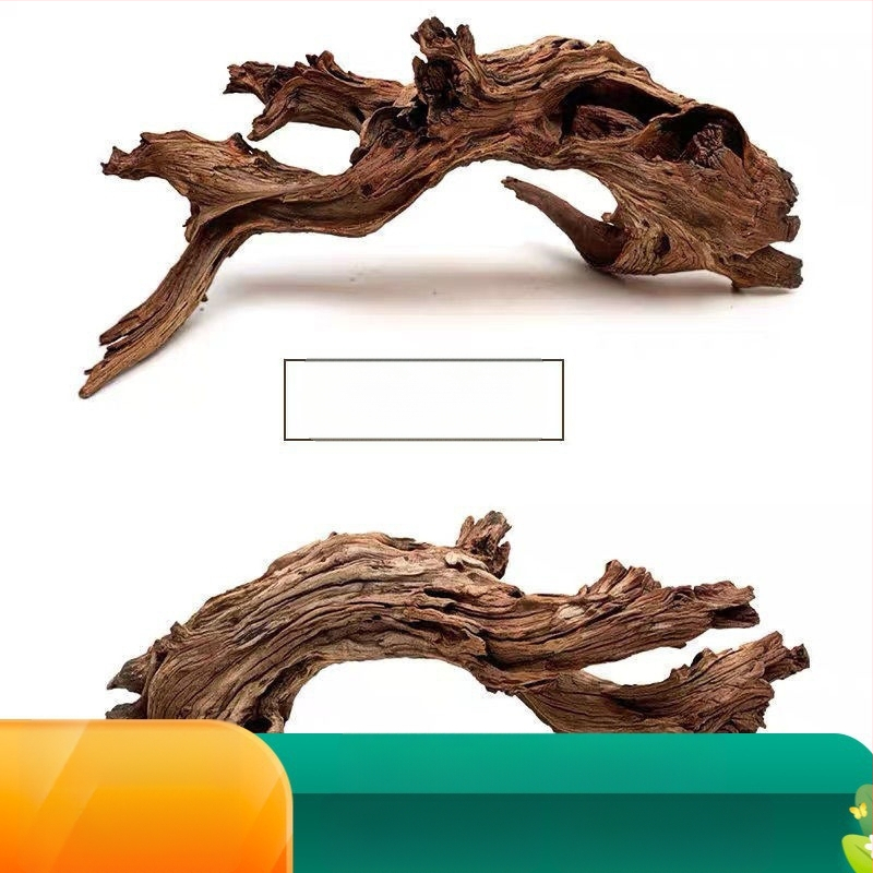 Rāpju dzīvnieku terārijs ar sauļošanās platformu, driftwood un dekoratīvajām zariem