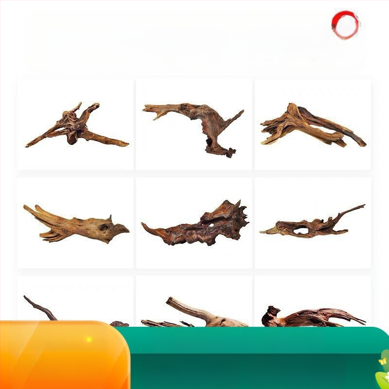 Rāpju dzīvnieku terārijs ar sauļošanās platformu, driftwood un dekoratīvajām zariem