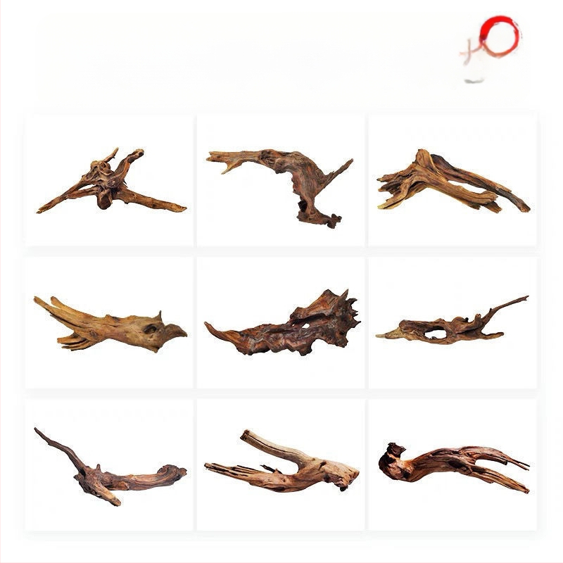 Rāpju dzīvnieku terārijs ar sauļošanās platformu, driftwood un dekoratīvajām zariem