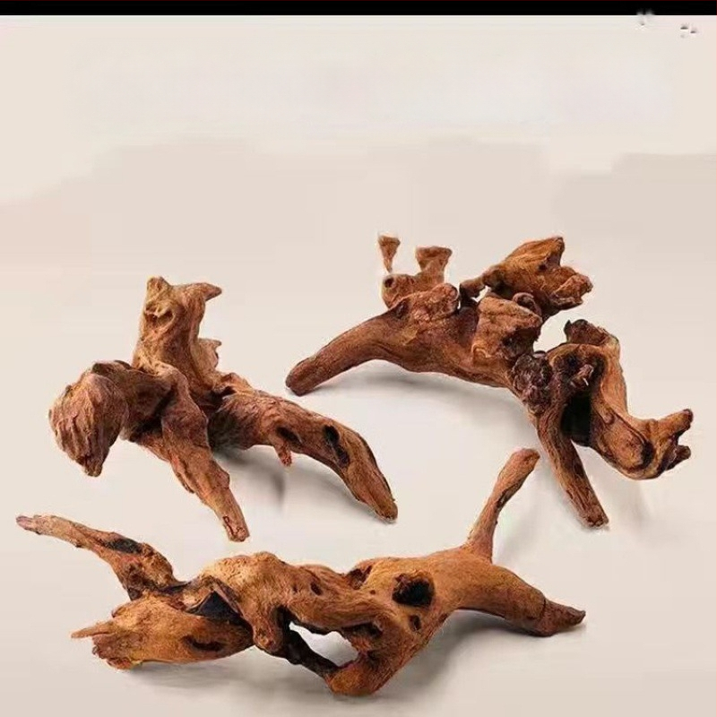 Rāpju dzīvnieku terārijs ar sauļošanās platformu, driftwood un dekoratīvajām zariem