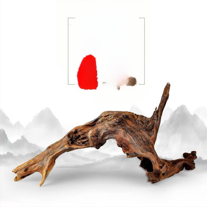 Rāpju dzīvnieku terārijs ar sauļošanās platformu, driftwood un dekoratīvajām zariem