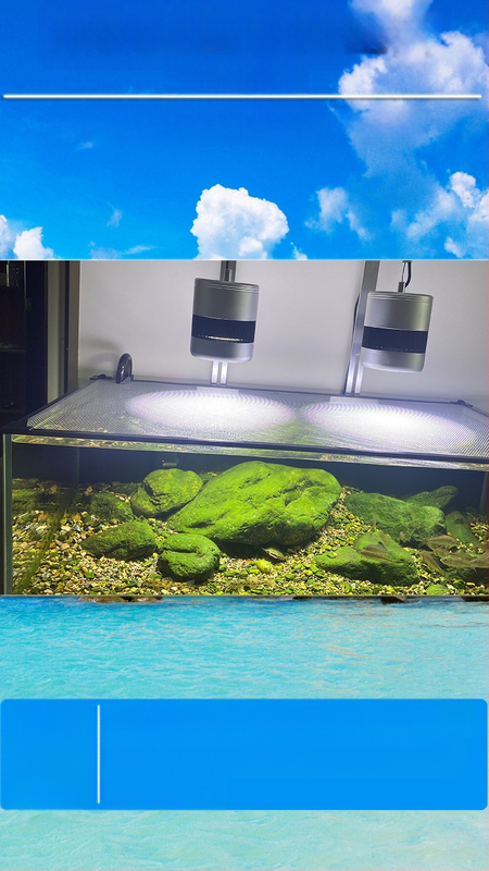 Antiizbēgšanas tīkla vāks akvārijiem un terārijiem | PVC tīkla vāciņš zivīm un bruņurupjiem (Materiāls: PVC; Lietošana: akvārijs/terārijs; Funkcija: pret izbēgšanu)