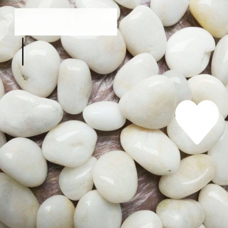 Trys dalių baltų natūralių žvyro akmenėlių rinkinys hidropionikai tulpėms ir akvariumo apdailai (Tipas: Trys dalys; Medžiaga: Kita; Importas: Ne; Panaudojimas: Kita)