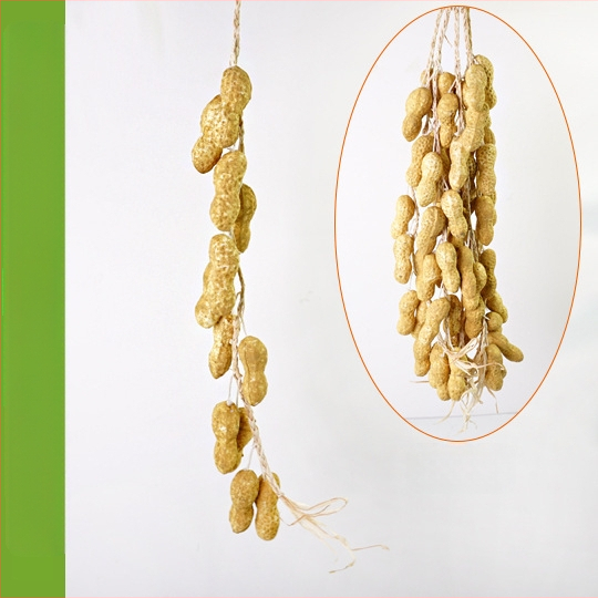 Vaisių ir daržovių vėrinė su kukurūzu, raudonąja paprika, česnaku ir dirbtiniais žemės riešutais – Kinų stiliaus dekoratyvinis aksesuaras namams ir restoranams (dovana bendraklasiams; Kalėdos; naujakuriams)