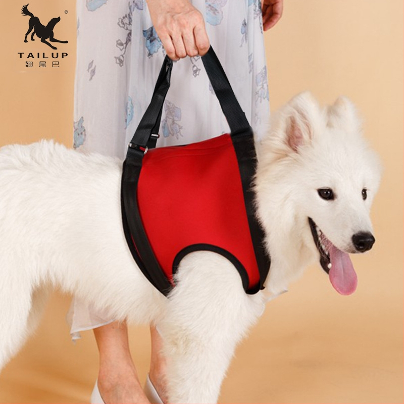 Kutyák és nagy testű háziállatok számára funkcionális segítőöv – lépcsőzéshez, be- és kiszálláshoz, sétákhoz – TAILUP márka