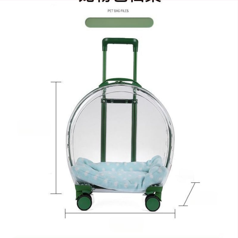 Augintinių kelioniniai krepšiai komplektas — kačių ir šunų nešiojimo dėžė, PP medžiaga, tvirtas korpusas, vienalytė spalva