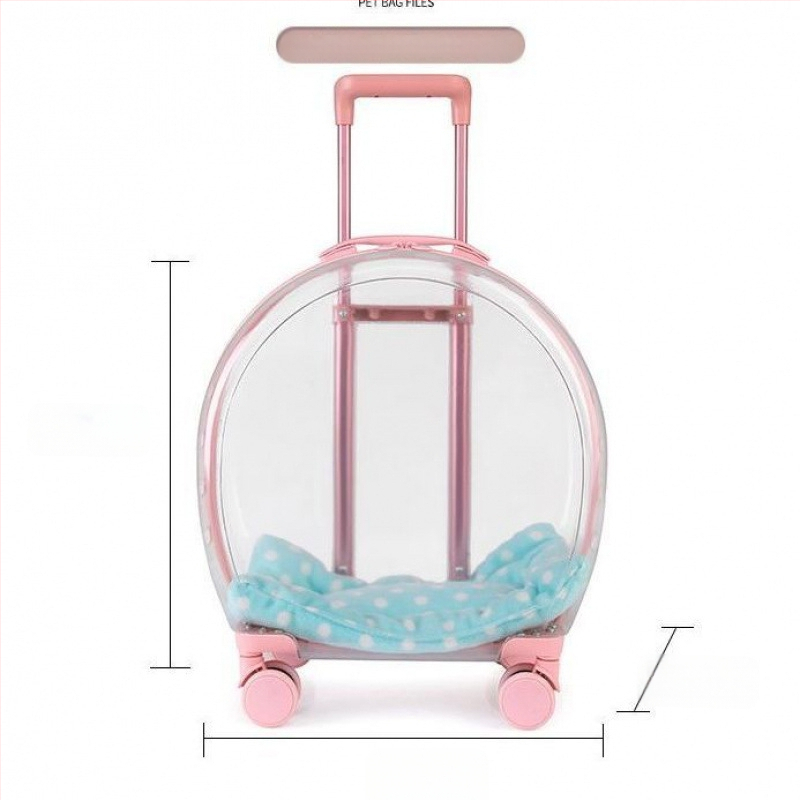 Augintinių kelioniniai krepšiai komplektas — kačių ir šunų nešiojimo dėžė, PP medžiaga, tvirtas korpusas, vienalytė spalva