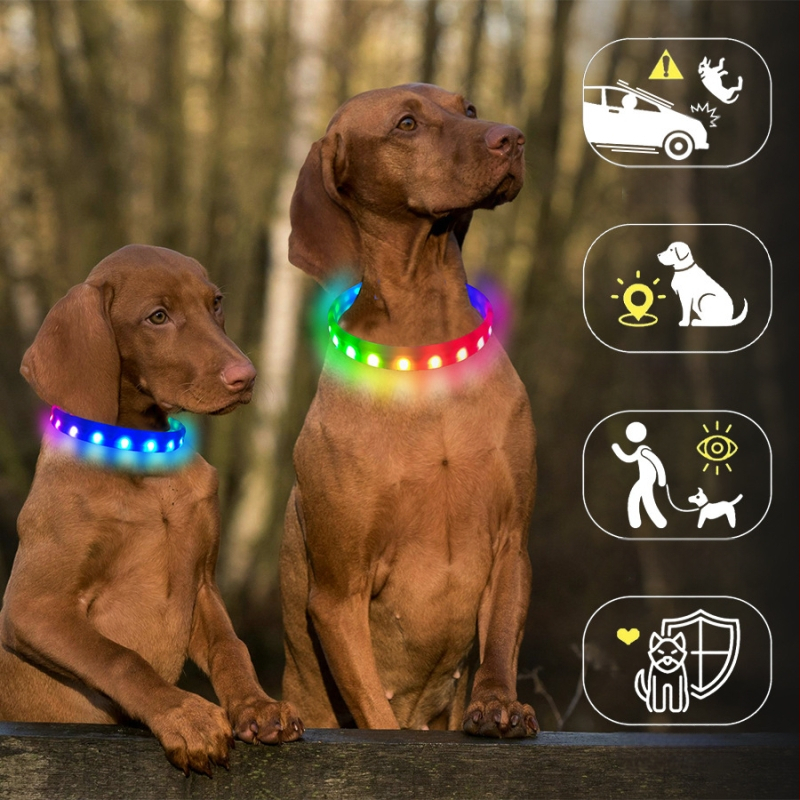 Chi weng Világító LED USB-töltővel tölthető nyakörv kutyáknak és macskáknak