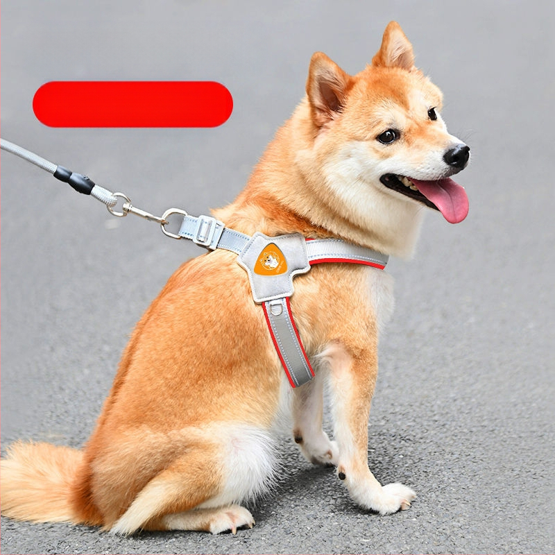 Šuns liemenė su krūtine diržu – ėjimui su pavadėliu