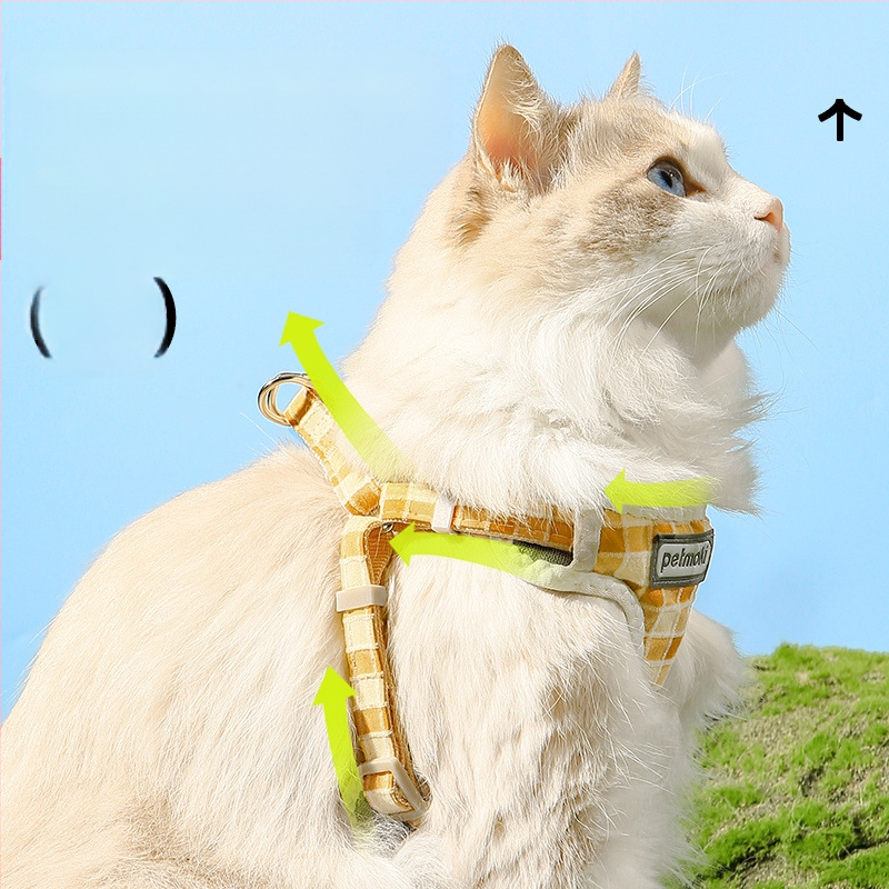 Katinės liemenė su pavadėliu – audinys, vest stiliaus, laukų pasivaikščiojimams