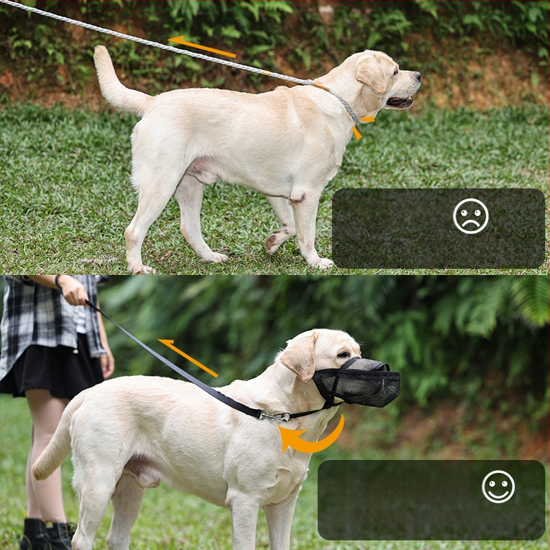 Šunų muzelis iš poliesterio, prekės ženklas doglemi, pakuotė 50, IP leidimas: Ne