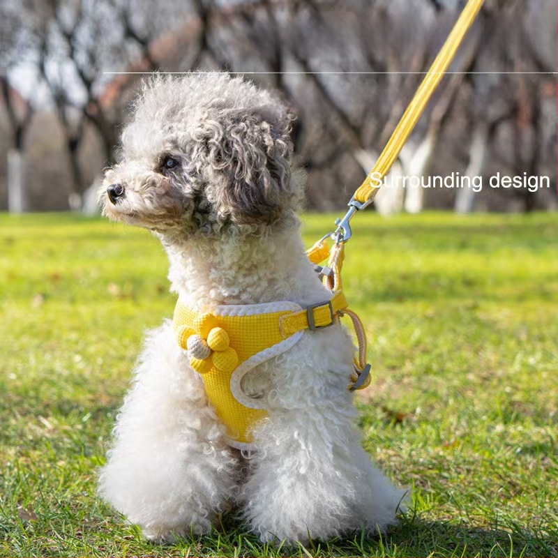 Vest stiliaus šuns harnizas su pavadėliu mažiems šunims; krūtinės diržas; medžiaga: Kita; neimportuota; kategorija: naminių gyvūnėlių virvų diržai.