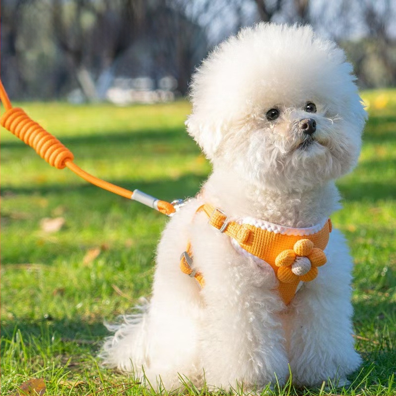 Vest stiliaus šuns harnizas su pavadėliu mažiems šunims; krūtinės diržas; medžiaga: Kita; neimportuota; kategorija: naminių gyvūnėlių virvų diržai.