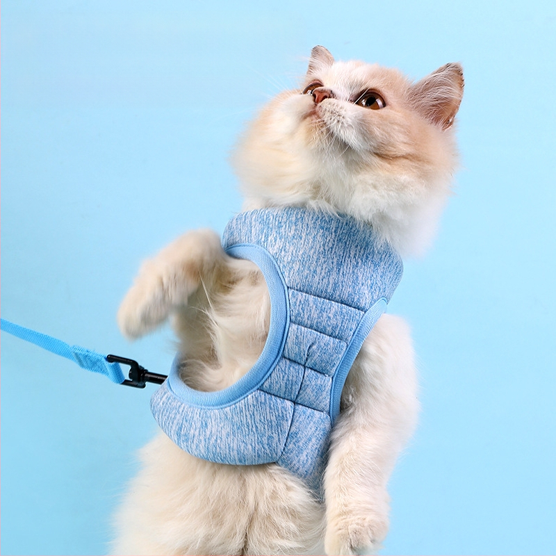 Katės krūtinės diržas su quilted užpildymu, Da Da Bear