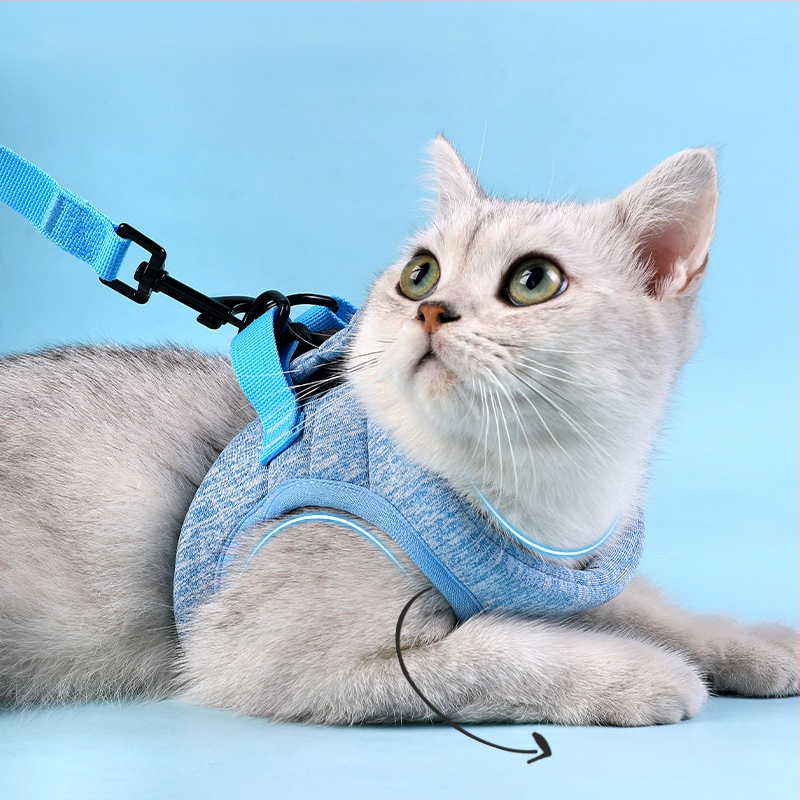 Katės krūtinės diržas su quilted užpildymu, Da Da Bear