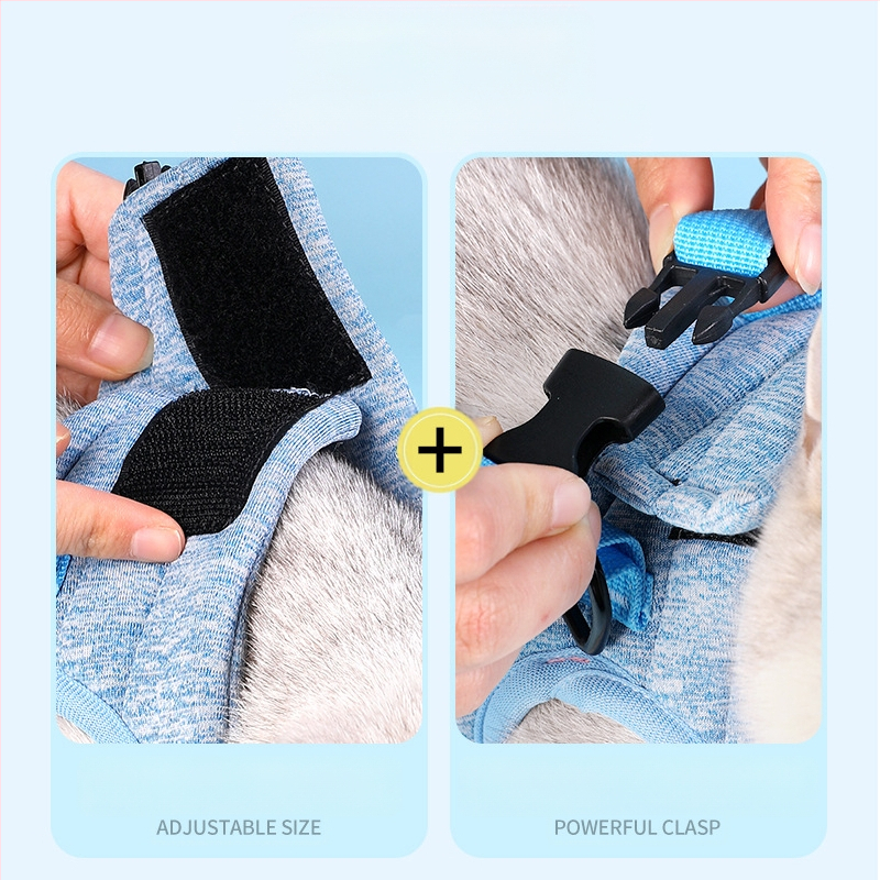 Katės krūtinės diržas su quilted užpildymu, Da Da Bear