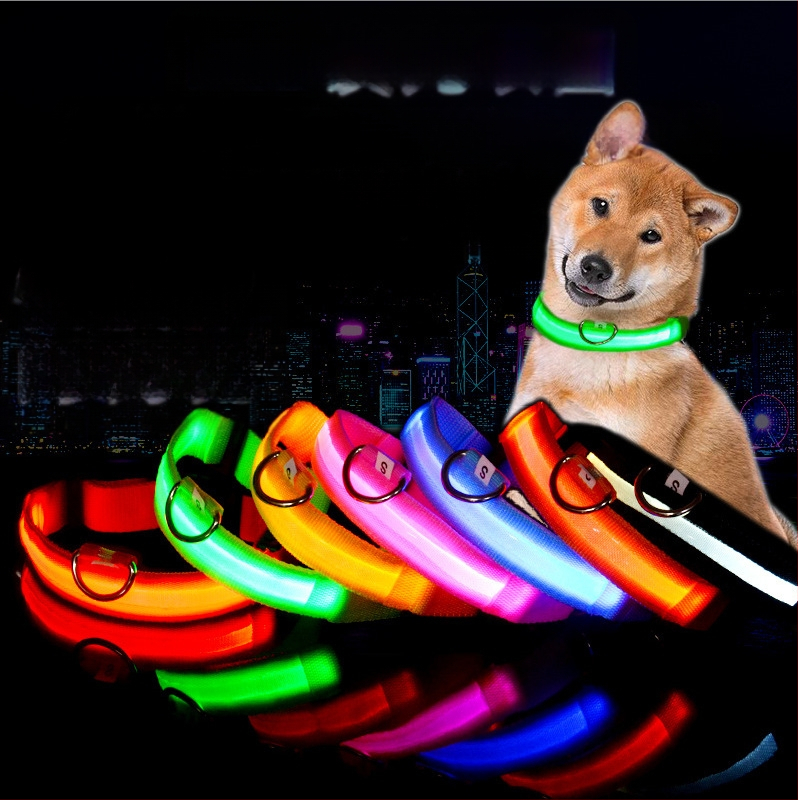 Monochromatinė Nailono LED šunų apykaklė su naktiniu švytėjimu, įkrovimo parinktys S/M/L/XL