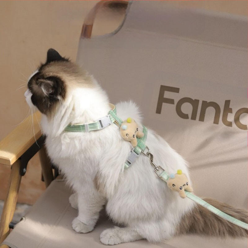 Katės vedimo virvė - neatsidaro, reguliuojamas krūtinės diržas, nailono virvė su lydinio ir ABS užraktais