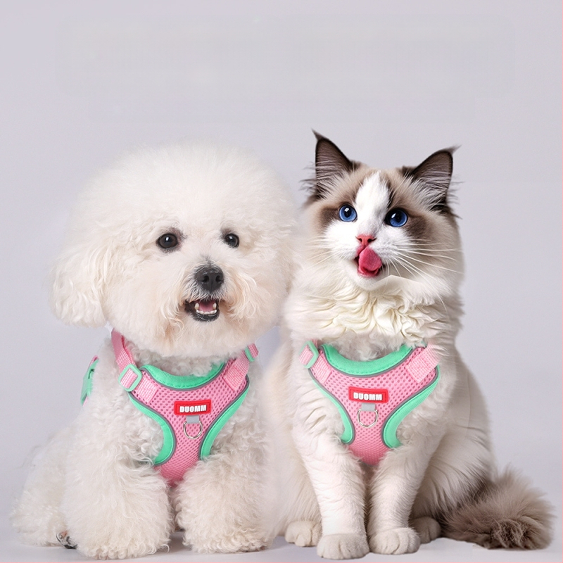 Belu krūtinės dirželis naminiams gyvūnams – poliesteris, reguliuojamas, katėms, dėžutėje 240 vnt