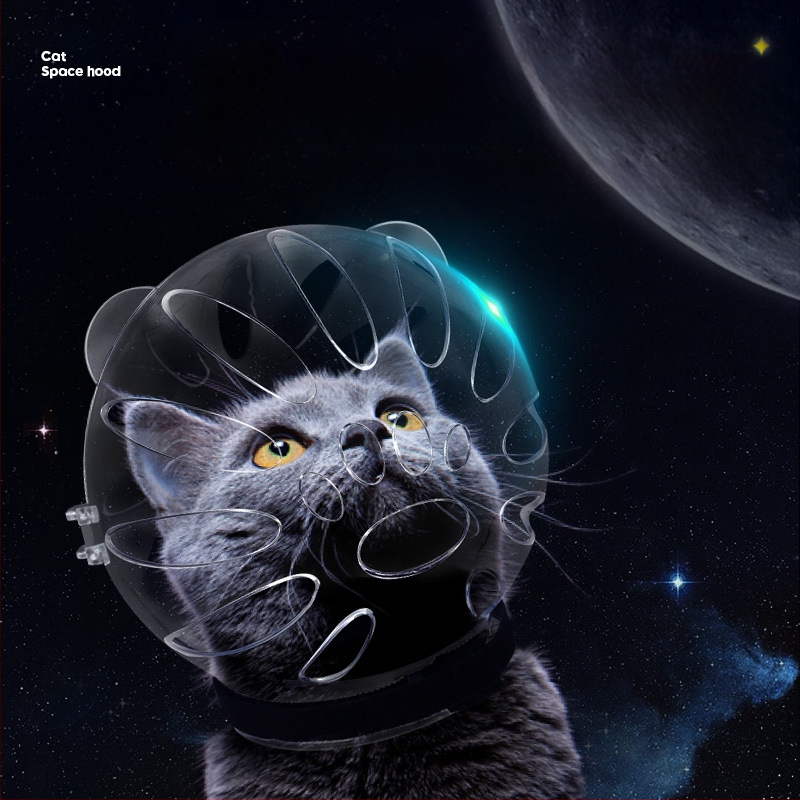 Katės kosminė skrybėlė su Elžbietos apykakle – prieš laižymą, monochrominis raštas, PET medžiaga, karikatūrinis stilius