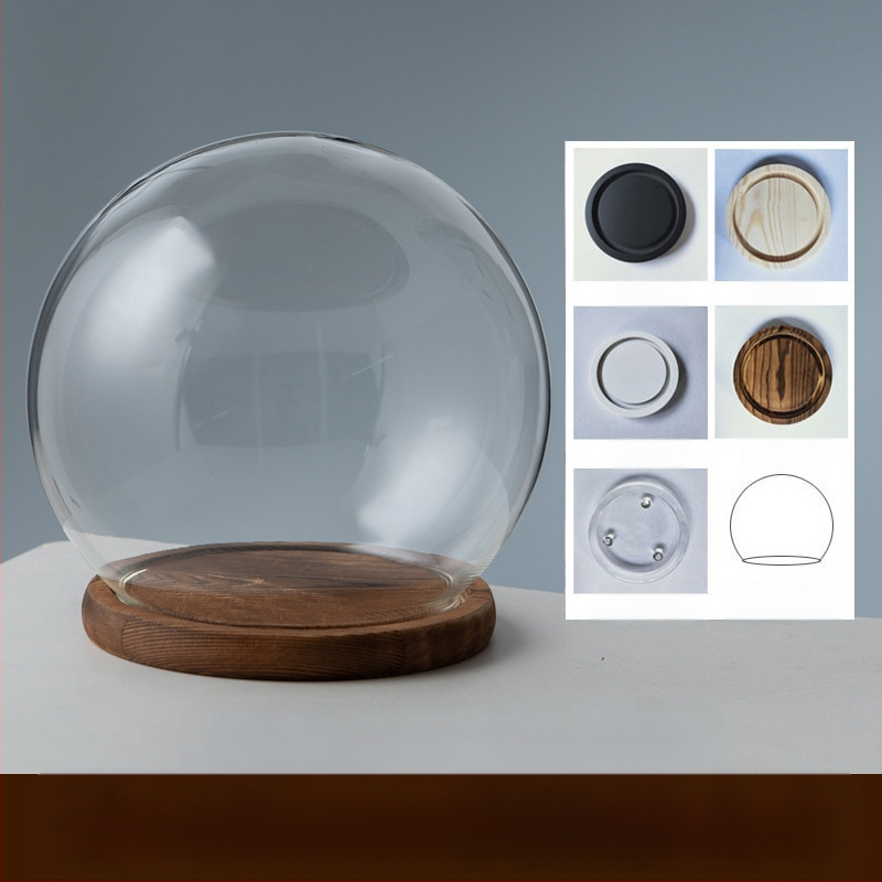 Γυάλινος σφαιρικός θόλος γραφείου με διατηρημένα άνθη, φυσητό γυαλί μπόροσιλικό υψηλό, μοντέρνο μινιμαλιστικό στυλ