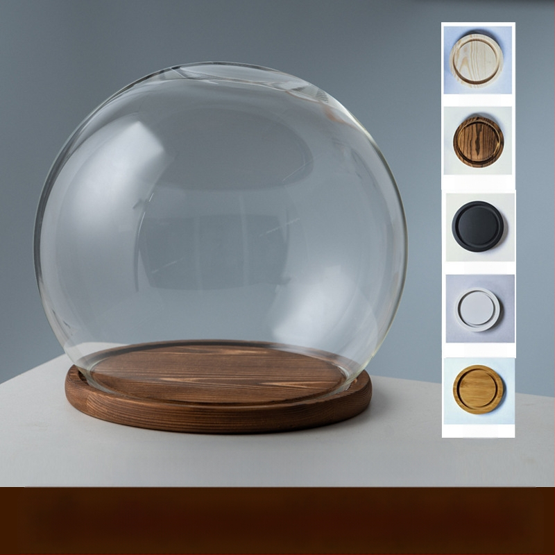 Γυάλινος σφαιρικός θόλος γραφείου με διατηρημένα άνθη, φυσητό γυαλί μπόροσιλικό υψηλό, μοντέρνο μινιμαλιστικό στυλ