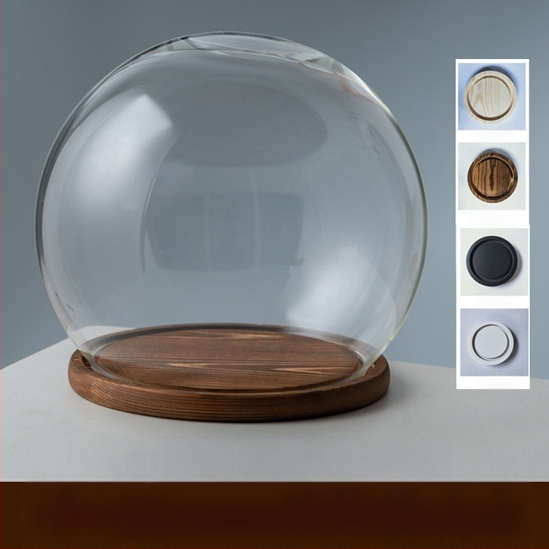 Γυάλινος σφαιρικός θόλος γραφείου με διατηρημένα άνθη, φυσητό γυαλί μπόροσιλικό υψηλό, μοντέρνο μινιμαλιστικό στυλ