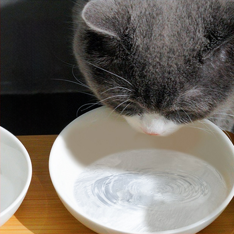 Kaķu un suņu barošanas trauku komplekts: keramiskie dubultie trauki, nerūsējošā tērauda komponenti, pretkritu dizains, slīpa mala un regulējams koka statīvs.